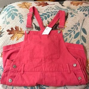 Pin Urban Outfitter overall shorts